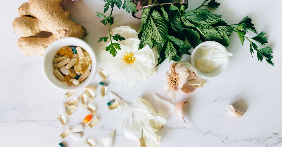 découvrez des traitements naturels efficaces pour améliorer votre bien-être et votre santé. explorez nos conseils et remèdes à base de plantes, d'huiles essentielles et de techniques holistiques pour une approche douce et bénéfique au quotidien.