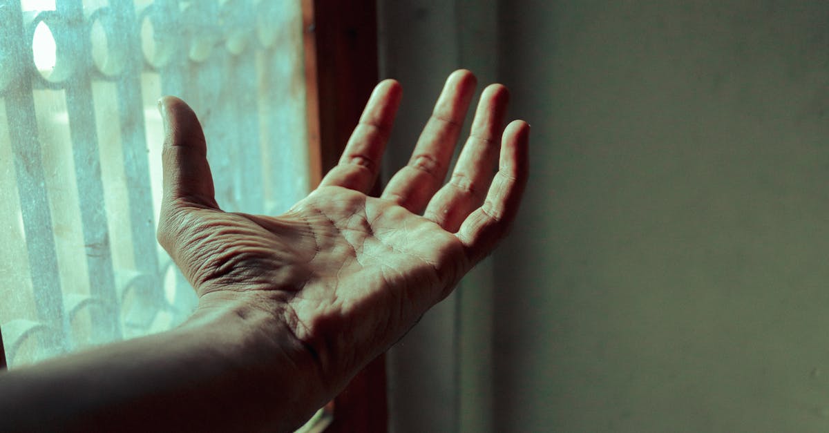découvrez le palmar hyperhidrosis, une condition de sudation excessive des paumes. explorez les causes, symptÎmes et traitements disponibles pour mieux gérer cette pathologie.