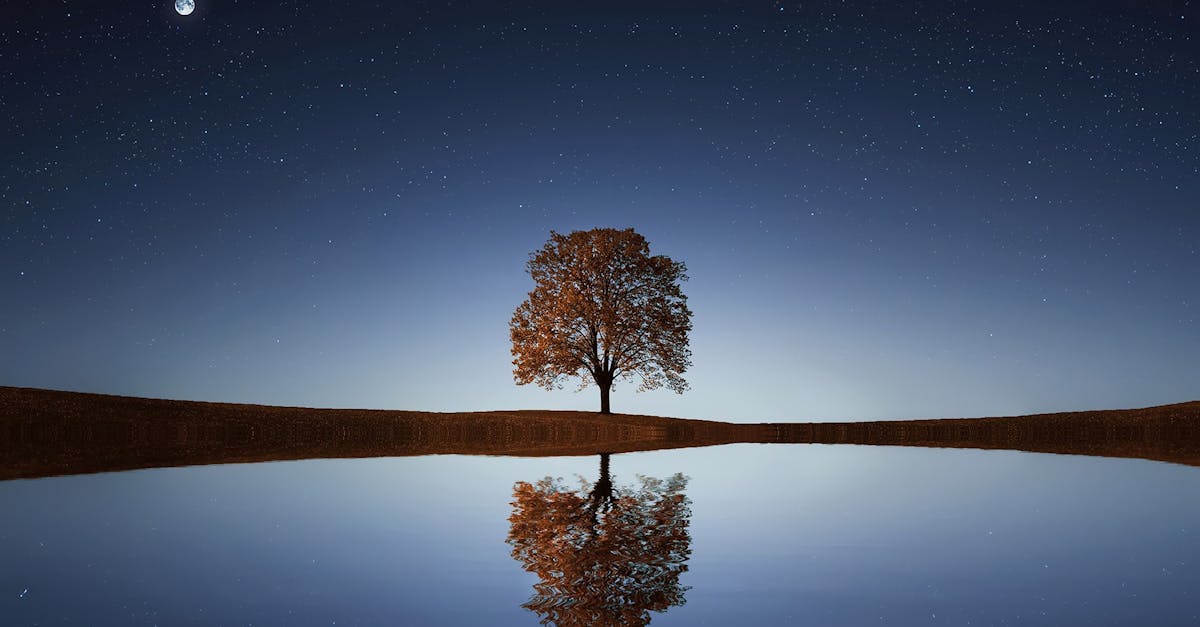 découvrez l'art de la relaxation et plongez dans un univers de sérénité. apprenez des techniques simples pour réduire le stress et profiter d'un moment de paix intérieure.